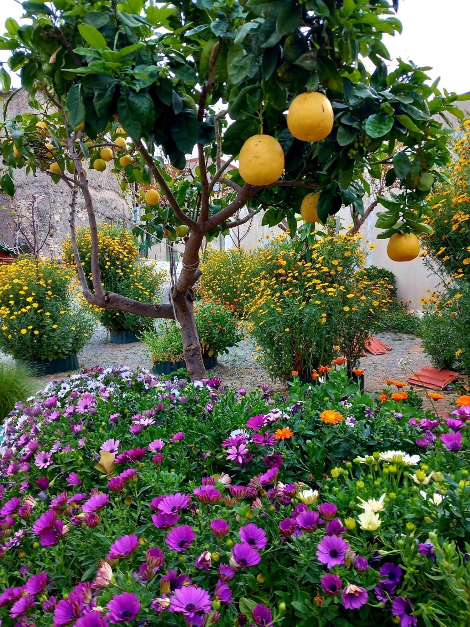 4 Seasons Suites Paradise Near Athens Airport Markópoulon المظهر الخارجي الصورة